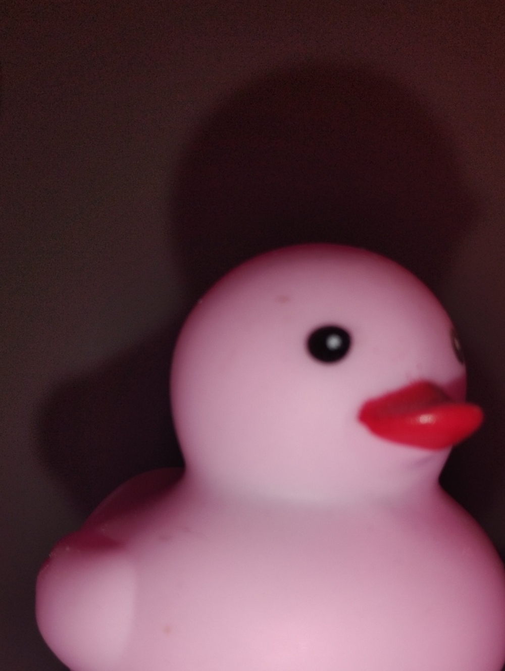 Pink Rubber Duck Bird Toy for Pets and Baths
